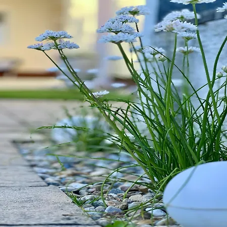 Apartment In Doksy With Barbecue Doksy (Liberec)
